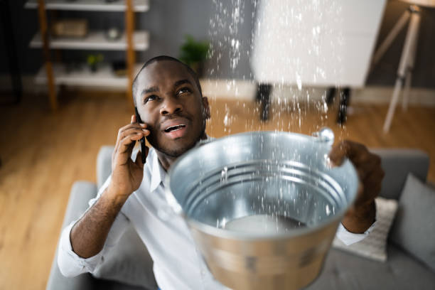 Best Commercial water damage restoration  in Lindsay, OK