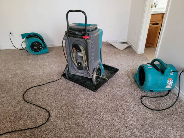 Best Flood damage cleanup  in Lindsay, OK