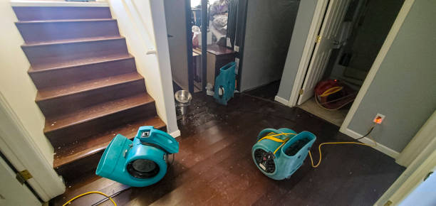 Best Carpet water damage restoration  in Lindsay, OK