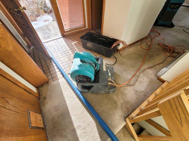 Best 24/7 water damage repair  in Lindsay, OK