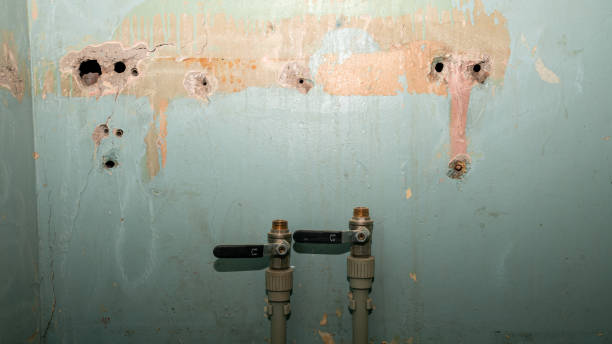 Best Flooded house restoration  in Lindsay, OK