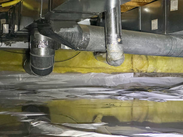 Best Water damage restoration company  in Lindsay, OK
