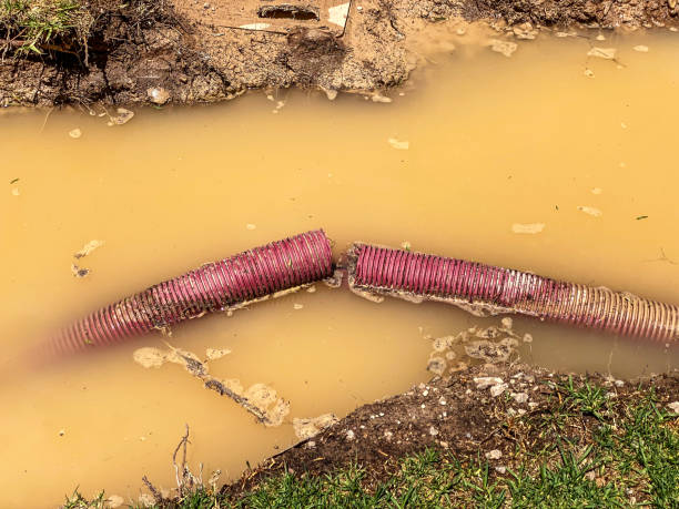 Best Water damage contractors near me  in Lindsay, OK