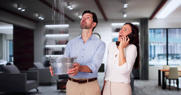 Best Professional water damage repair  in Lindsay, OK